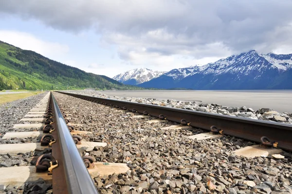 Railroad tracks running through Alaskan landscape