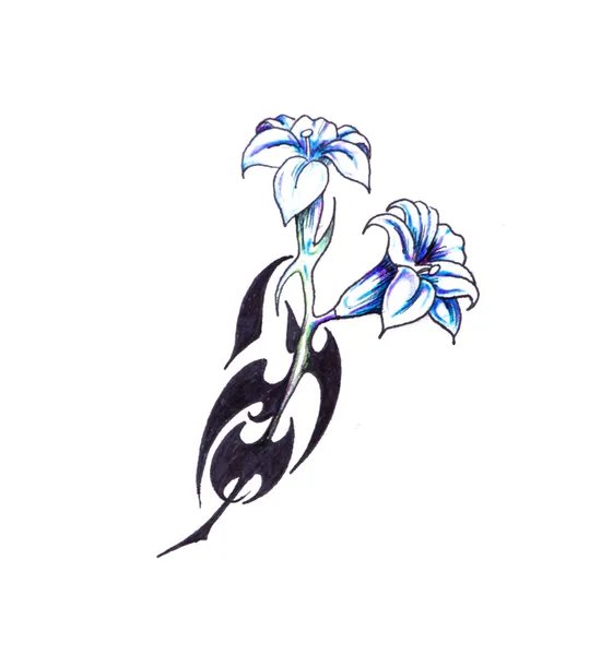  Designtattoo Illustrator on Sketch Of Tattoo Art  Flower With Tribal Design     Stock Photo