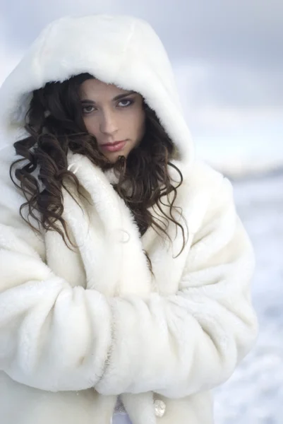 Portrait of a beautiful lady in fur coat
