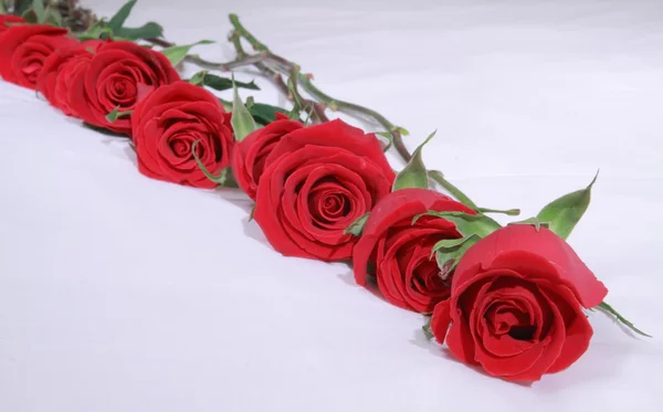 Red roses on a bed