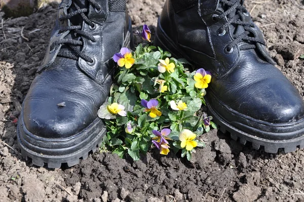 Army ankle boots and flowers.