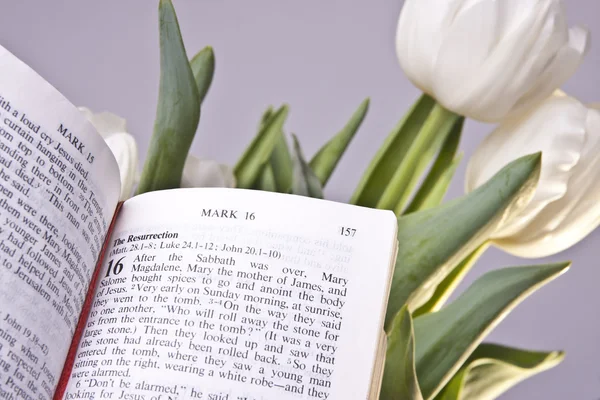 Easter Bible Verse and Tulips