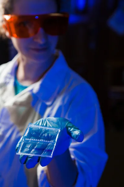 Researcher with an agarose gel plate