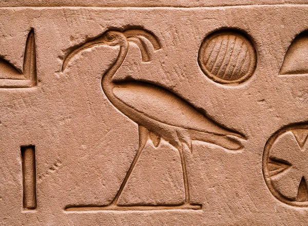 horus in hieroglyphs