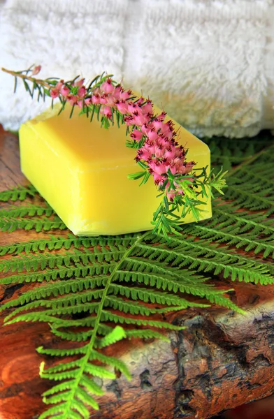 Soap with green fern