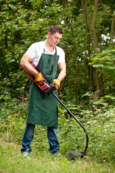 Gardener with lawn trimmer