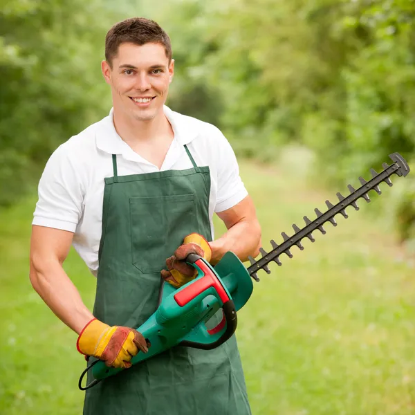 Gardener with hedge trimmer