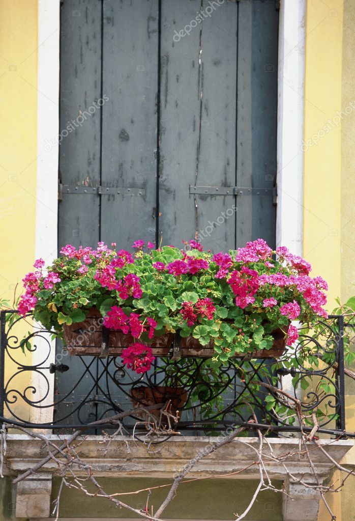 Balcony Flower Baskets