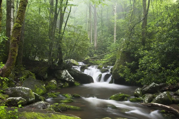 Smoky Mountains