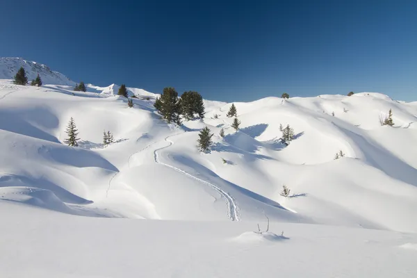 Fresh powder snow landscape