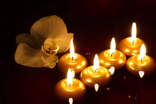 Floating candles and orchid in dark