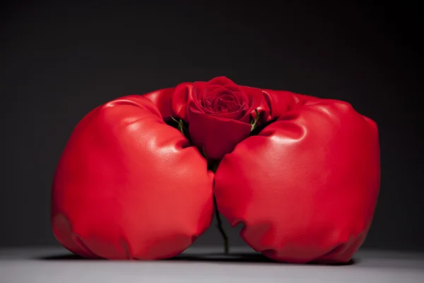 Box gloves and red rose