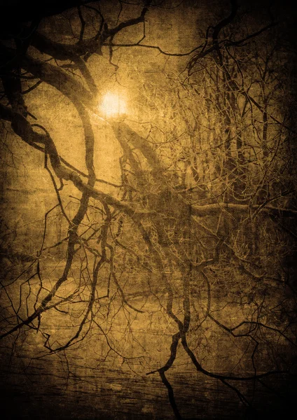 Grunge image of dark forest, perfect halloween background