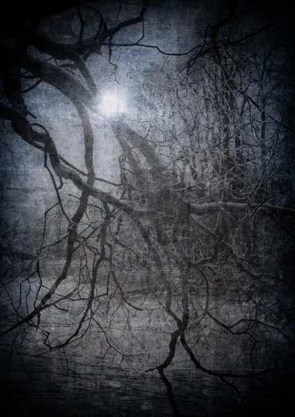 Grunge image of dark forest, perfect halloween background
