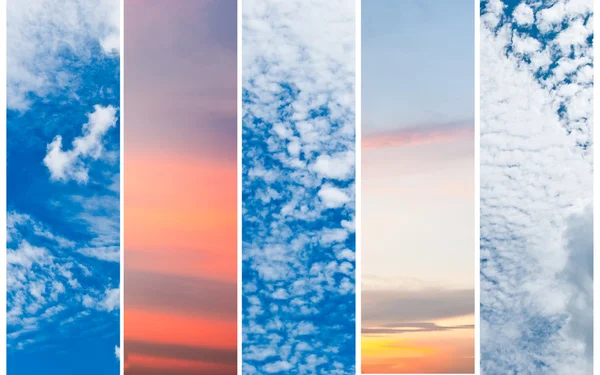 Collection of vertical sky banners