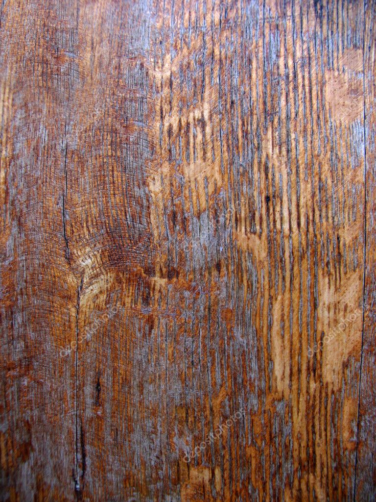 Painted Timber Walls