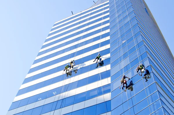 Building Cleaners