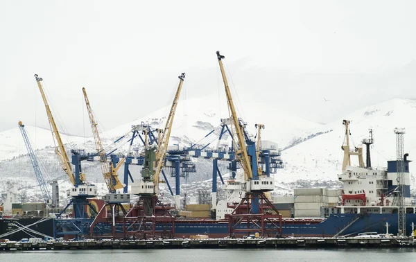 Large gantry cranes at the port.