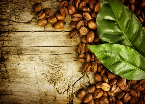 Coffee Beans over Wood Background