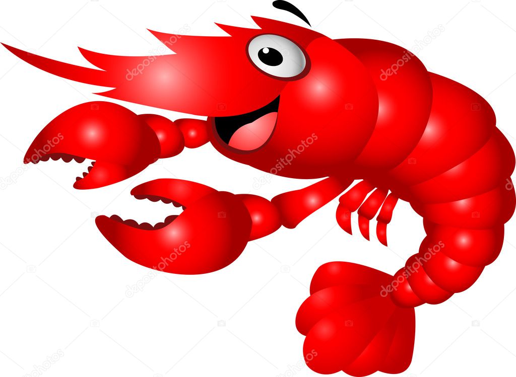 cute cartoon shrimp