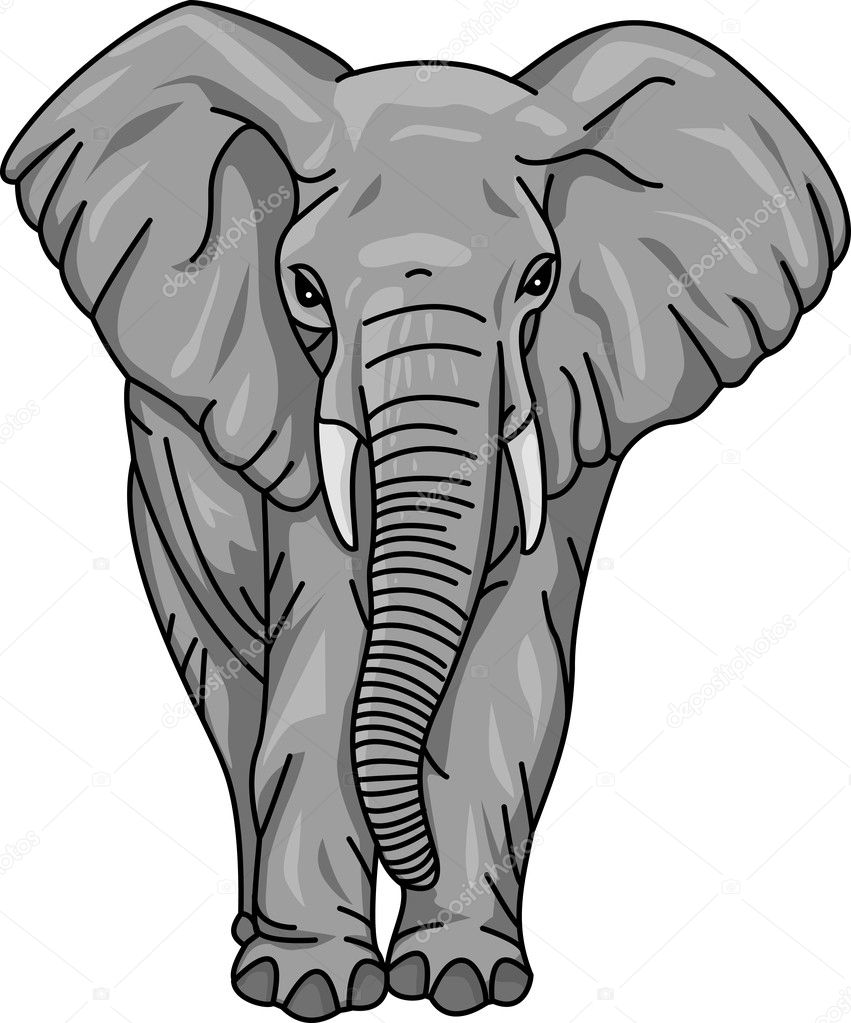 elephant clipart front view - photo #26