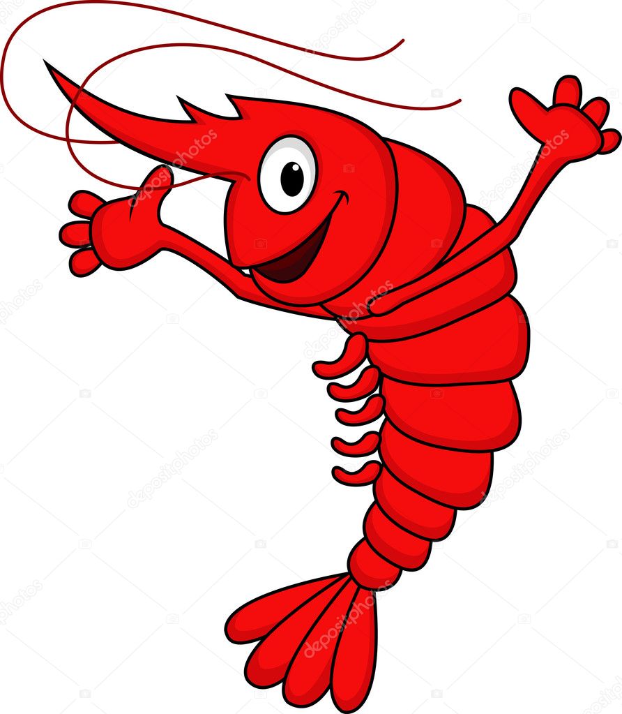 cute cartoon shrimp