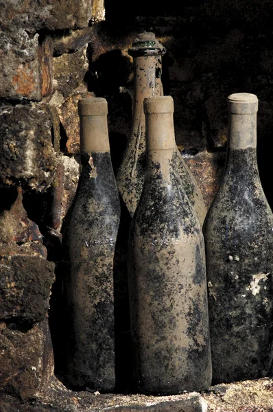 Old bottles in a cellar