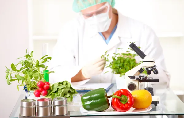 Researcher with GMO plants in the laboratory