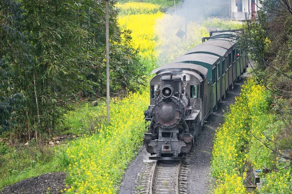 Jia Yang steam train, China