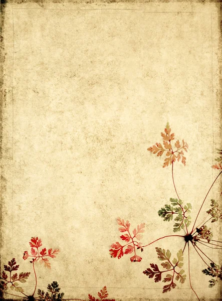 Lovely background image with floral elements. useful design element.
