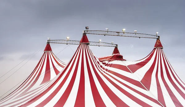 The wonderful spectacle of the circus