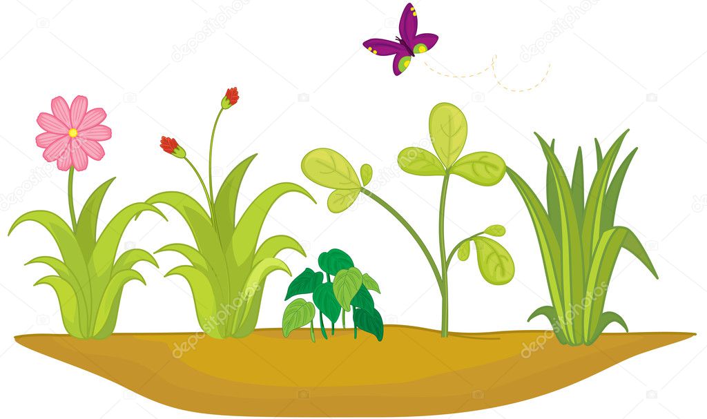 Flower bed â€” Stock Vector Â© interactimages #9959864