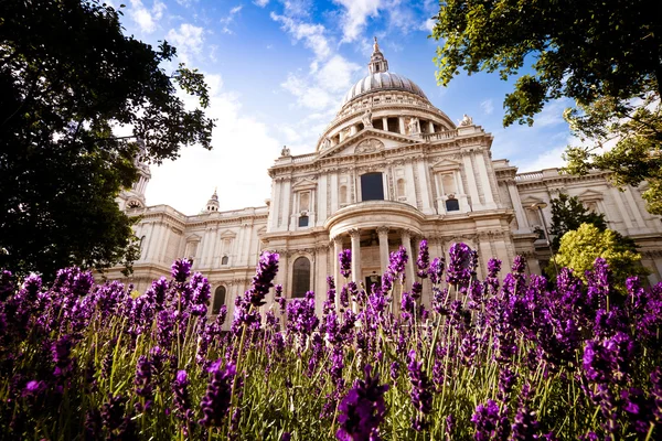 St Paul\'s in the spring, daytime