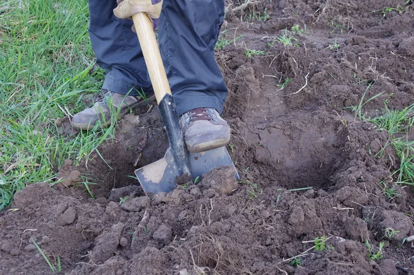 Man digging ground and preparing for planting