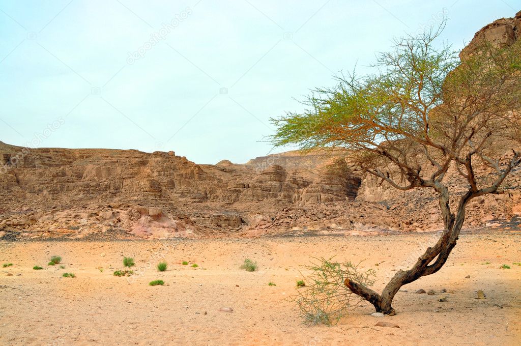 Egypt landscape - Stock Image