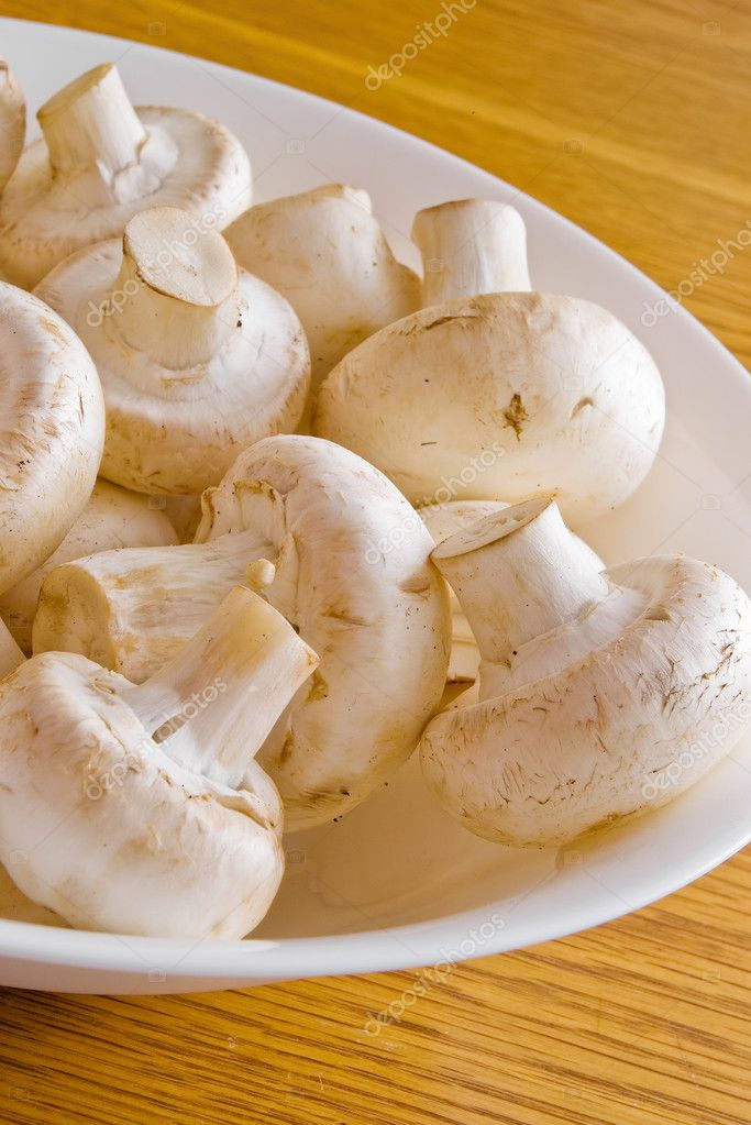 Raw button mushrooms on white bowl — Stock Photo © mishoo 10595217