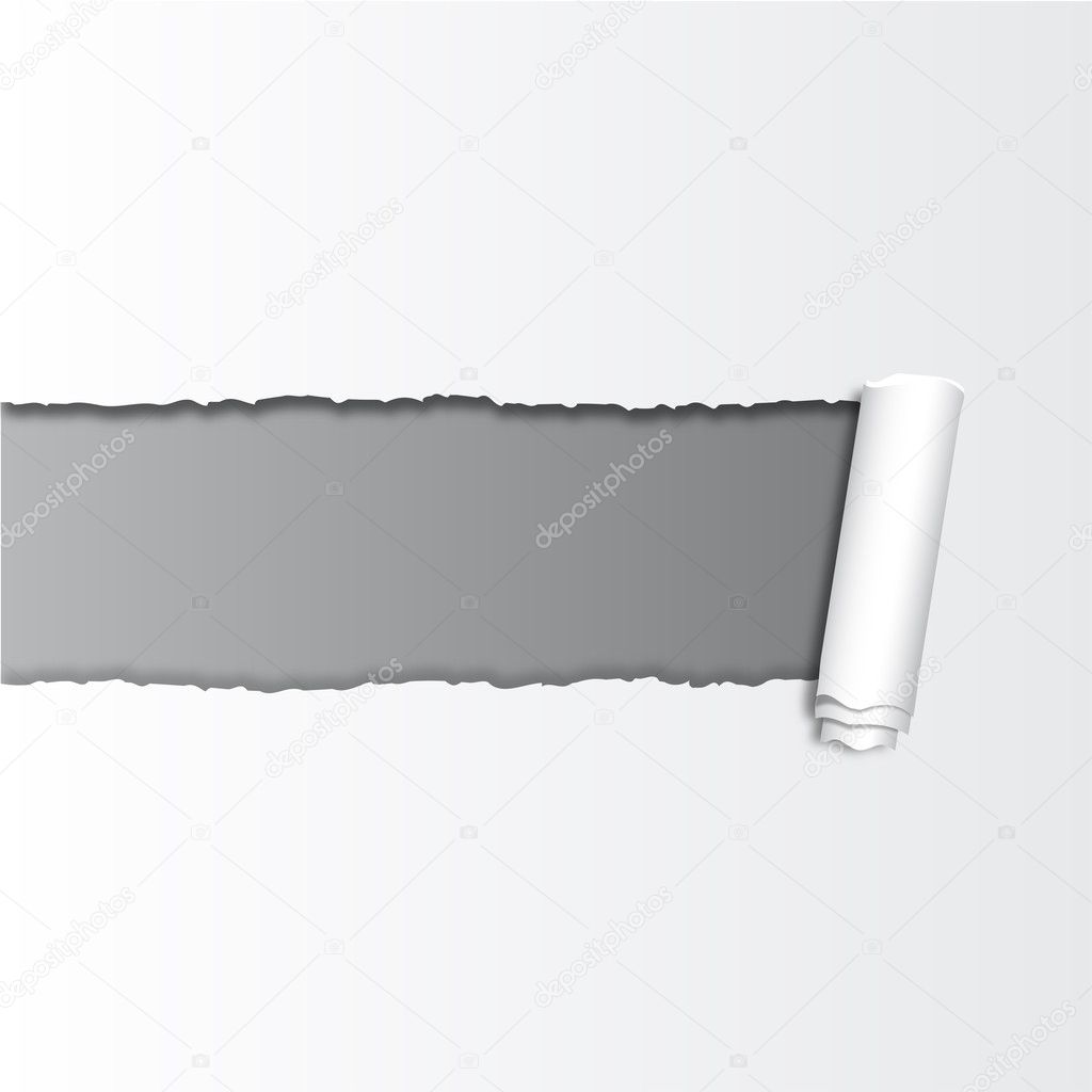 Photo Paper Vector Free Download