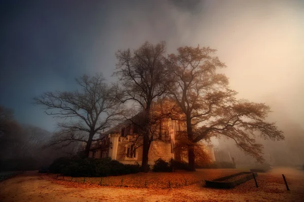Old tree and cottage in the fall mist