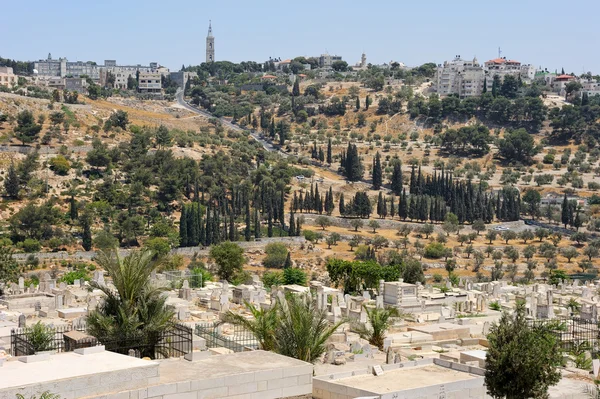 Monte degli Ulivi dalle mura di Gerusalemme . — Foto Stock