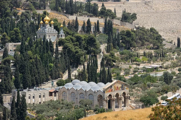Monte degli Ulivi, veduta dalle mura di Gerusalemme . Immagini Stock Royalty Free