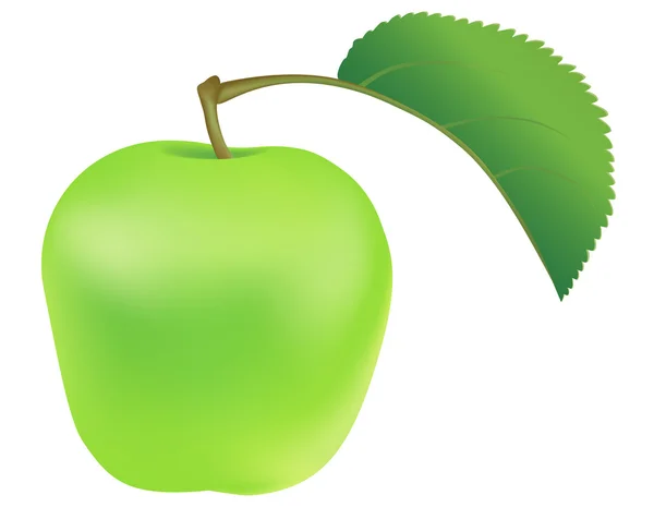 Green apple with leaf — Stock Vector