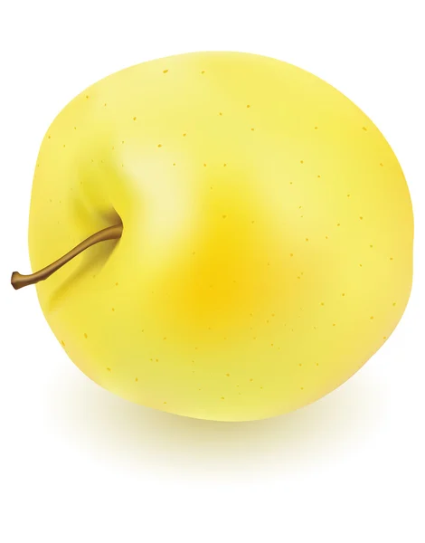 Fresh yellow apple — Stock Vector