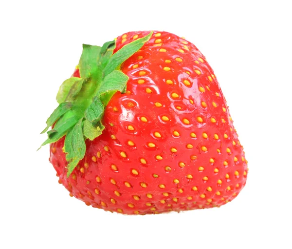Einzelne frische rote Erdbeeren — Stockfoto