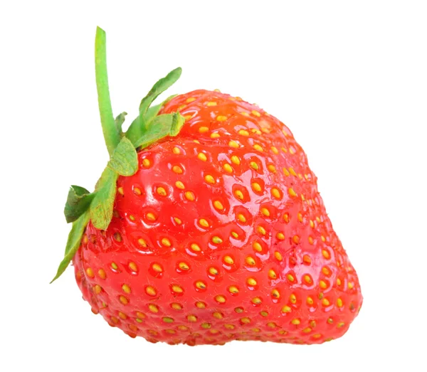 Einzelne frische rote Erdbeeren — Stockfoto