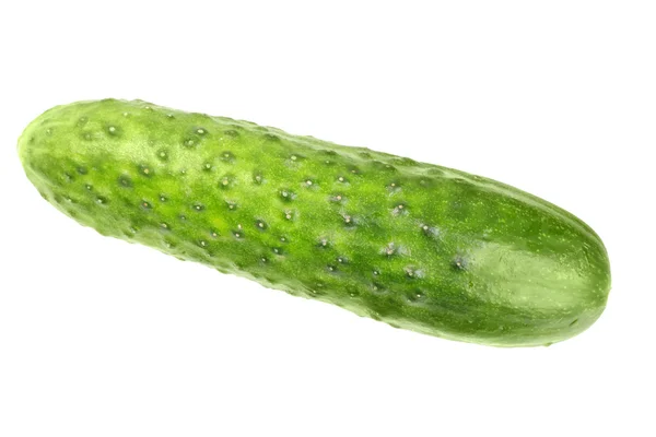 stock image Green fresh cucumber