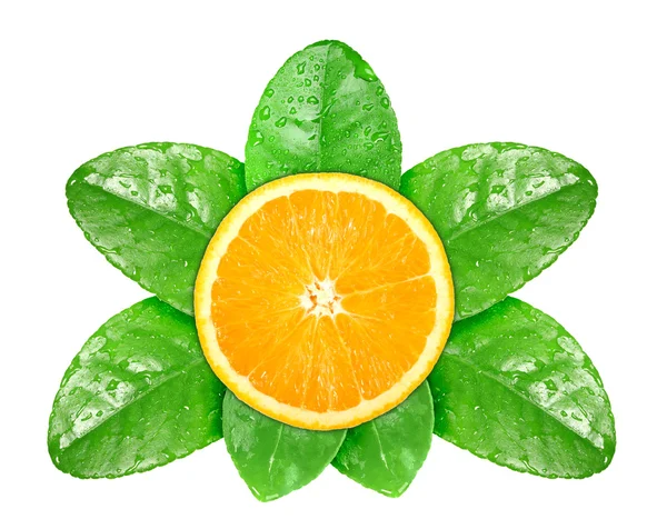 Плоды апельсина на зеленом листе с росой — стоковое фото