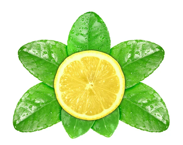 Fruta de limón sobre hoja verde con rocío —  Fotos de Stock