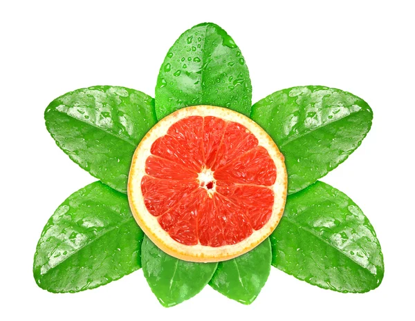 stock image Grapefruit fruit on green leaf with dew