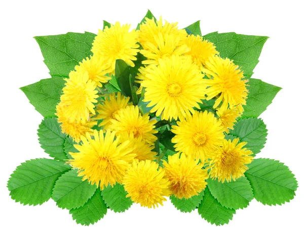 Strauß gelber Blumen — Stockfoto