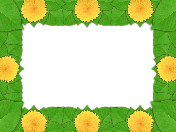 Floral frame with yellow flowers and green leaf — Stock Photo, Image